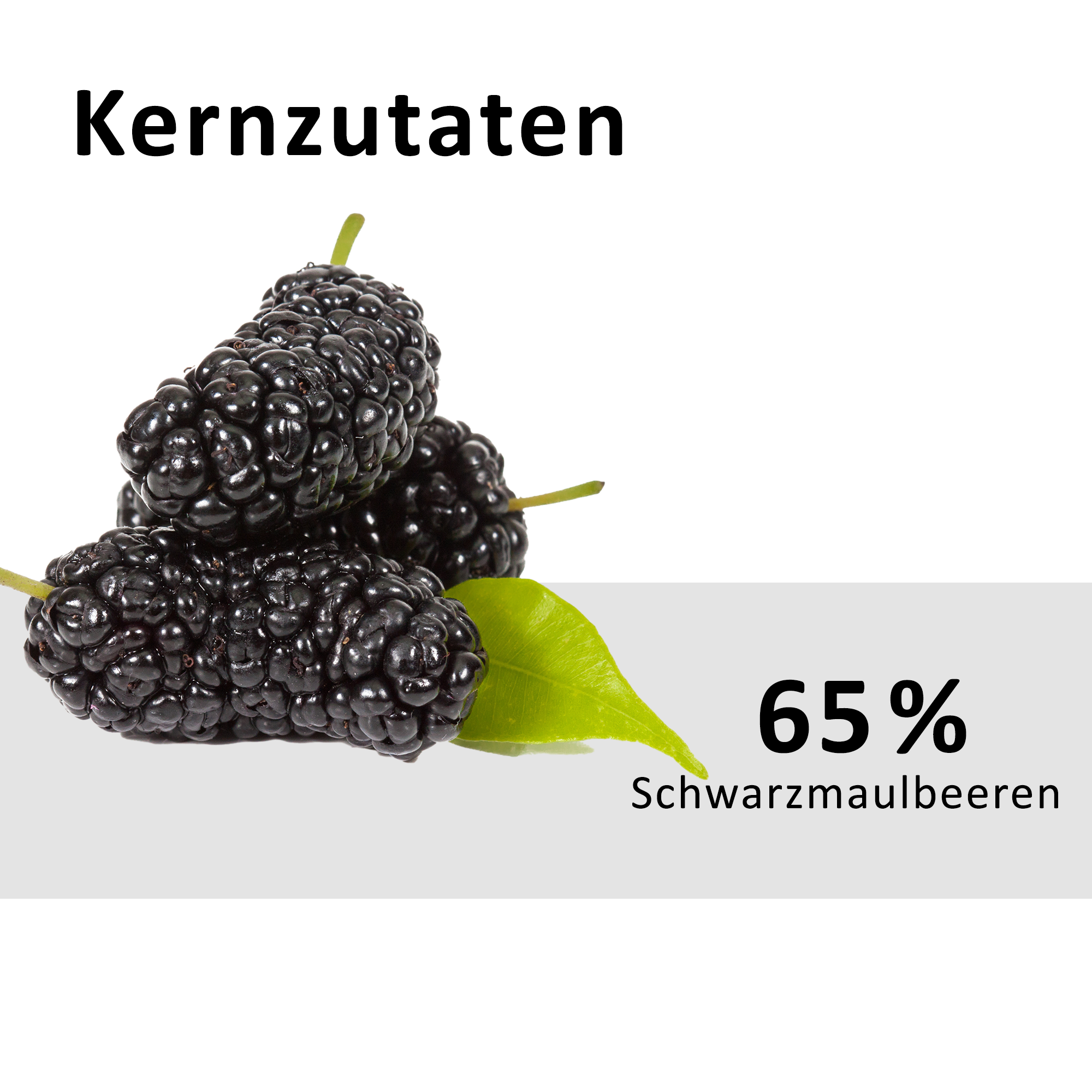 Feinster Konfitüren – 7 Sorten im Set