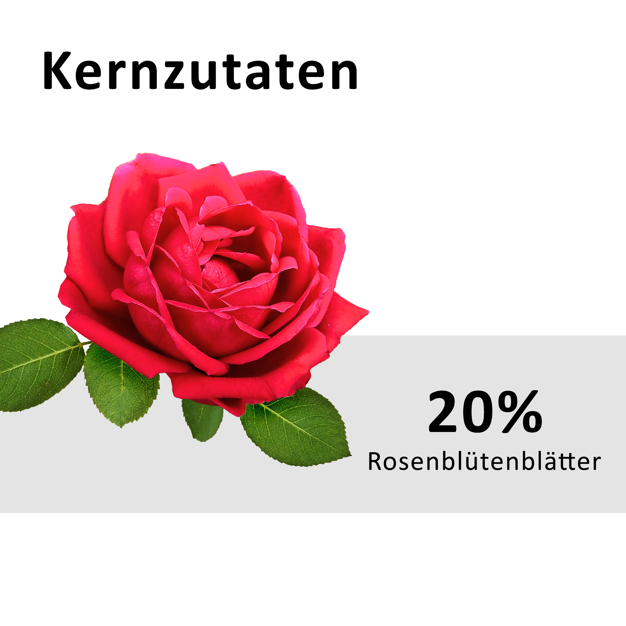 Rosenkonfitüre Extra (290 g)